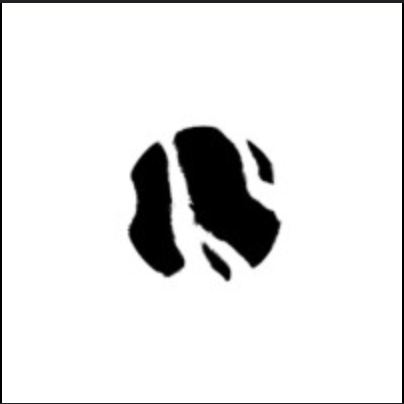 Chosan logo
